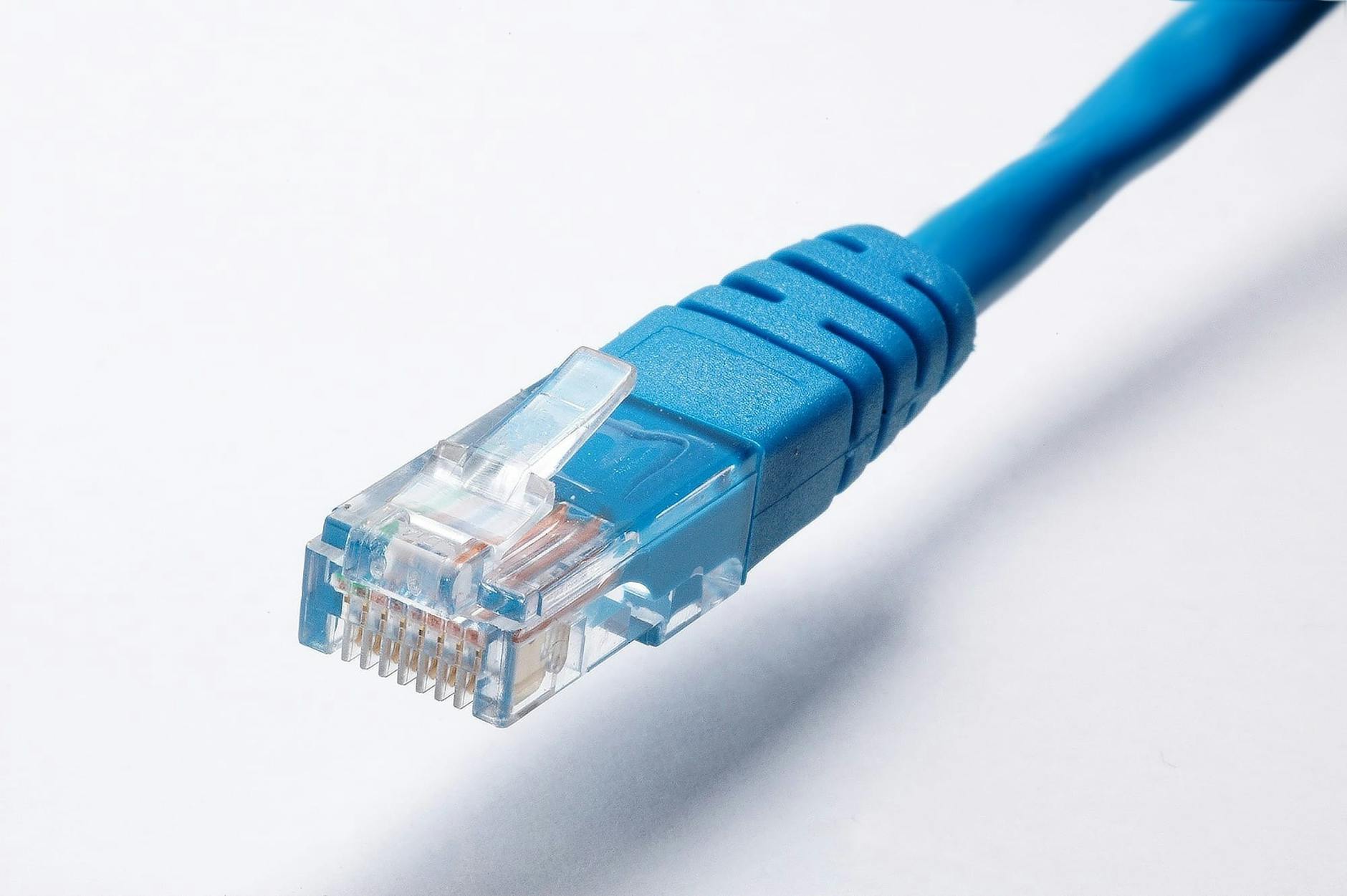 Niebieska wtyczka kabla Ethernet na białym tle