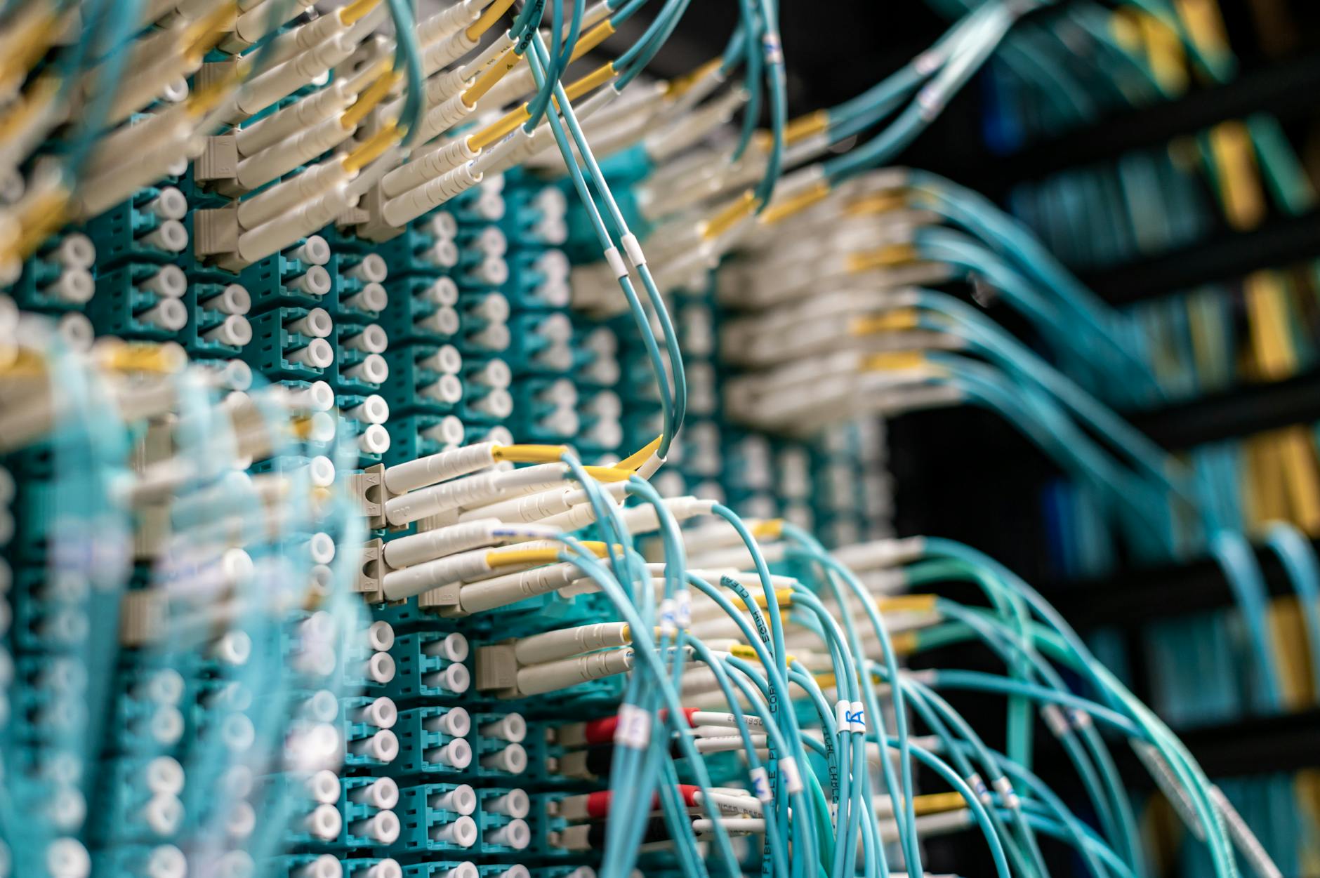 Niebieskie przewody sieciowe podłączone do panelu w serwerowni